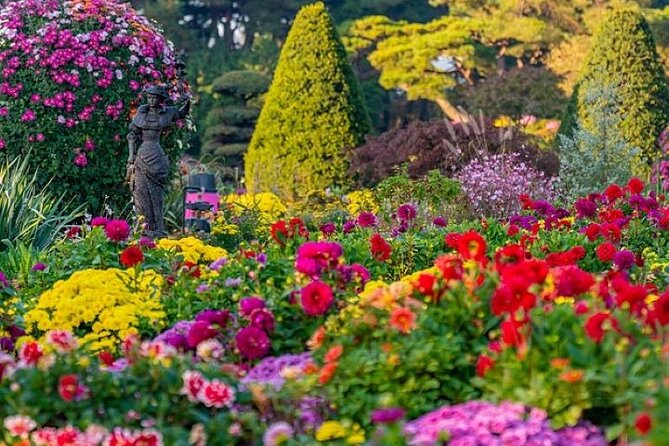 Welcome Daehakro Opening Day With Paju - Daehakro Opening Day Overview