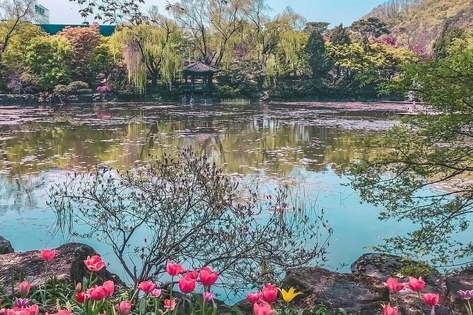 Welcome Daehakro Opening Day With Paju - Must-See Attractions in Daehakro