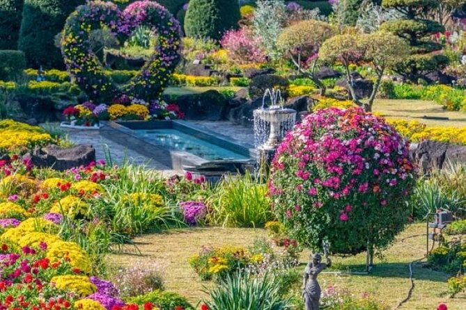 Welcome Daehakro Opening Day With Paju - Transportation and Getting Around