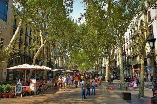 Welcome to Barcelona! Your Essential Orientation Tour. - Important Information