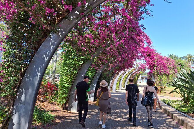 Welcome to Brisbane Private Tour by Local Guide - A Close Look at the Itinerary