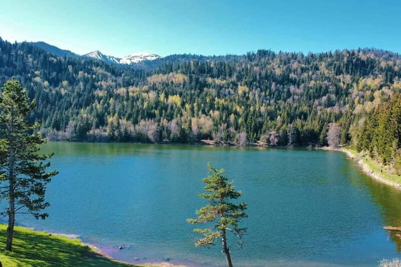 welcome to georgia discover together - Good To Know