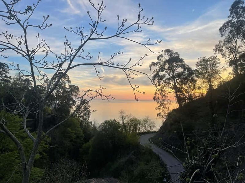 welcome to georgia discover together - The Details Behind the Experience