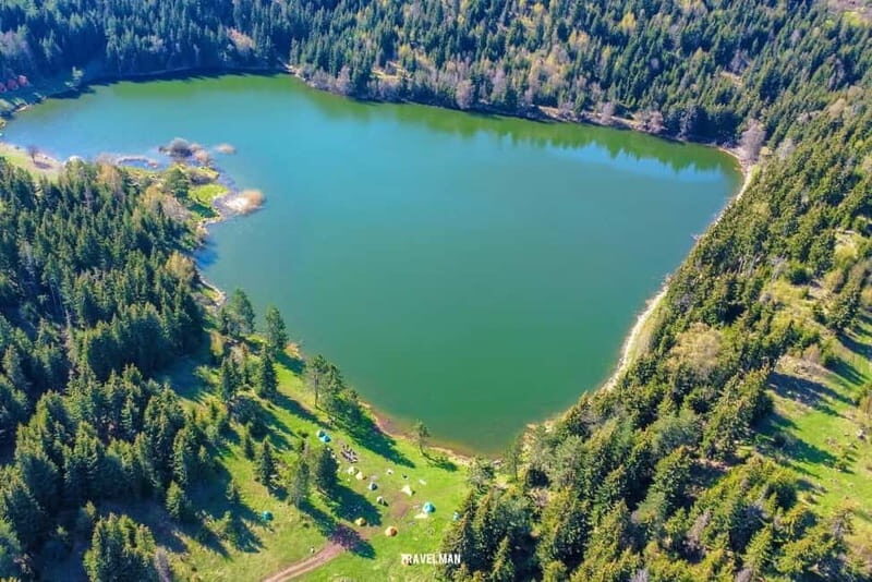 welcome to georgia discover together - Authentic Review Insights and Tips