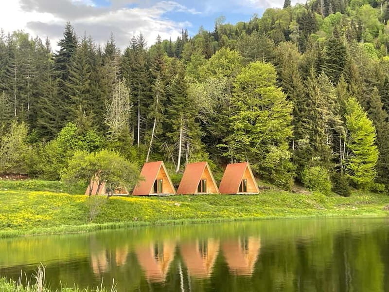 welcome to georgia discover together - Exploring Georgia’s Landscape: A Detailed Breakdown