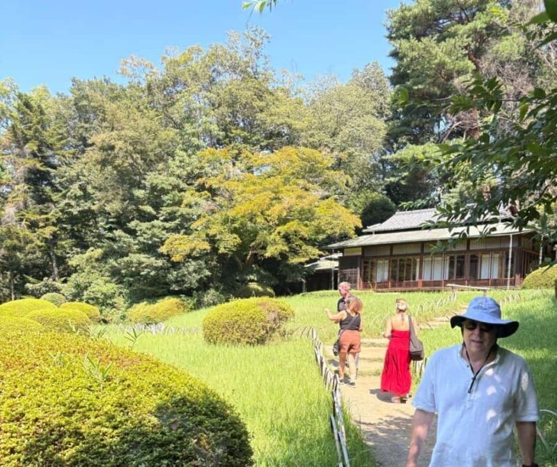 Welcome to Tokyo: A Gentle First Journey by Private Car - A Gentle Introduction to Tokyo’s Must-See Sights