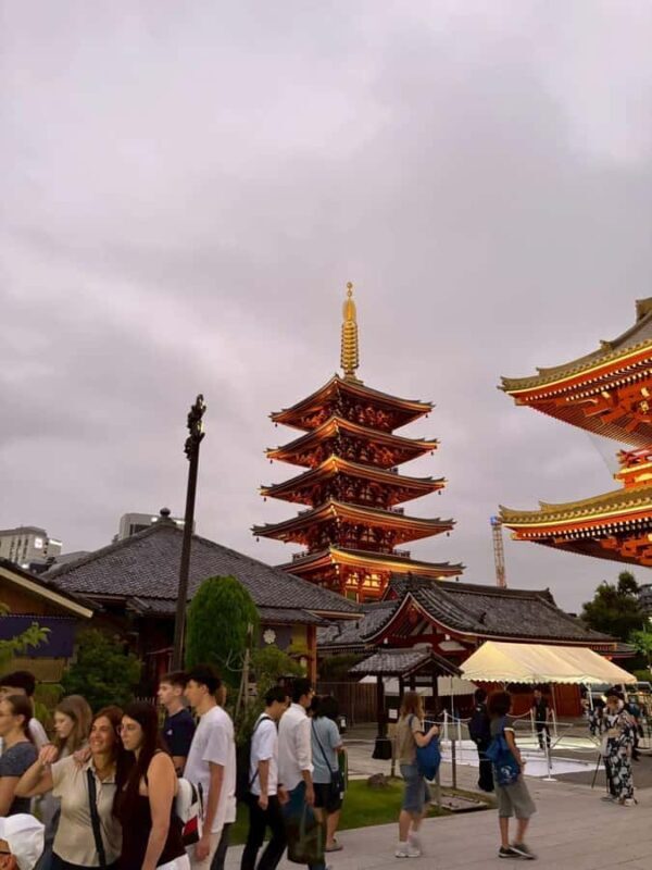 Welcome to Tokyo: A Gentle First Journey by Private Car - What Makes This Tour a Good Deal?