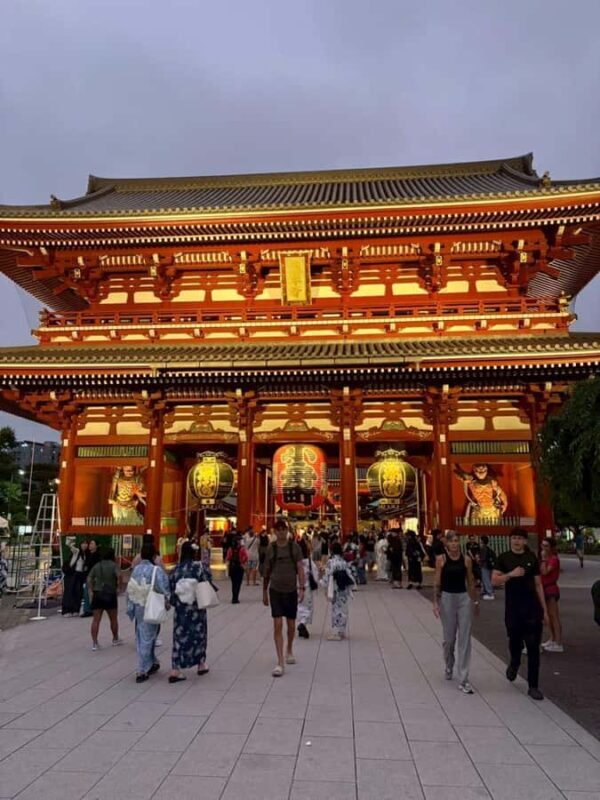 Welcome to Tokyo: A Gentle First Journey by Private Car - Concluding Thoughts