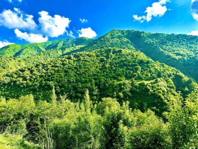 Welcome to Uzbekistan - FAQ