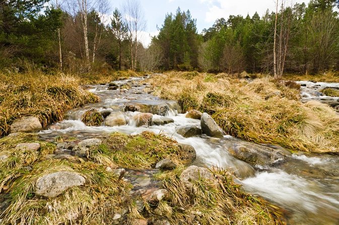 Welcome to Winter Hiking - Meeting and Pickup Information