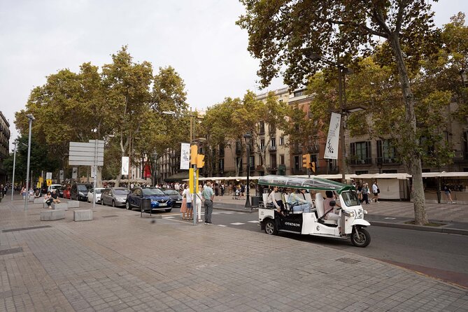 Welcome Tour to Paris by Private Eco Tuk Tuk - The Sum Up