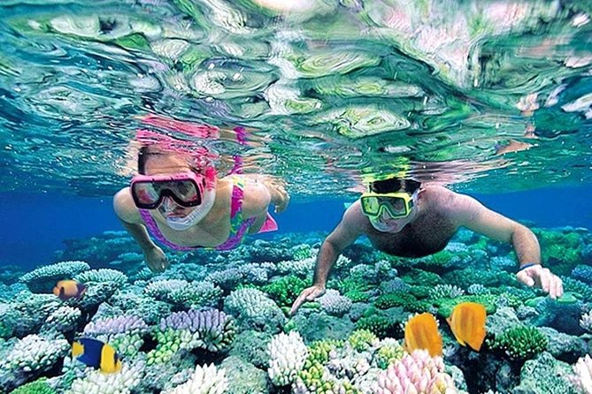 Weligama, Beach, Galle, and Turtles Private Tour From Colombo - Itinerary