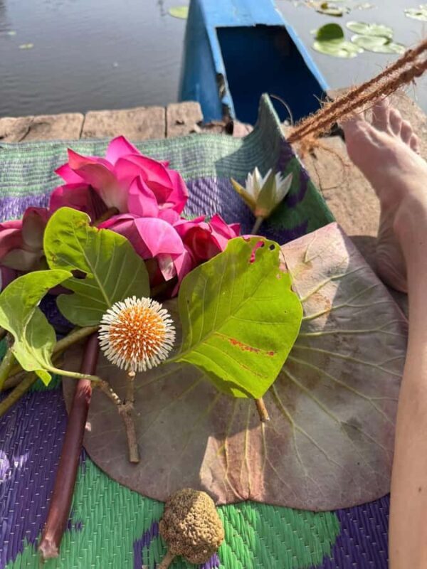 Weligama: Sunrise or Sunset Lotus Picking Canoe Tour - Summary