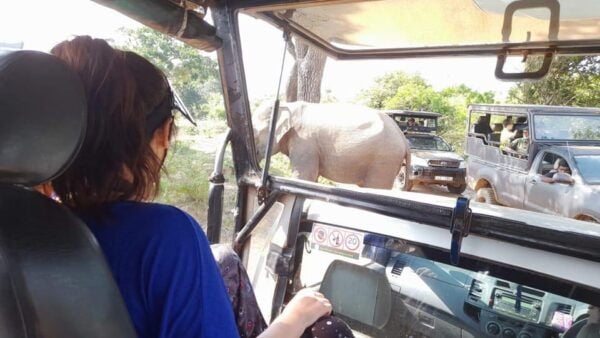 Weligama to Udawalawa National Park Safari - Booking and Cancellation Policy