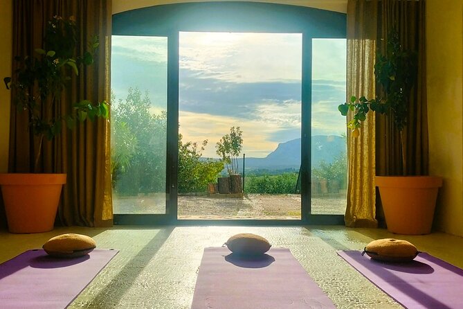 Well-being Day in Authentic Provence: Nature, Yoga, Picnic & Wine - Customer Reviews & Feedback