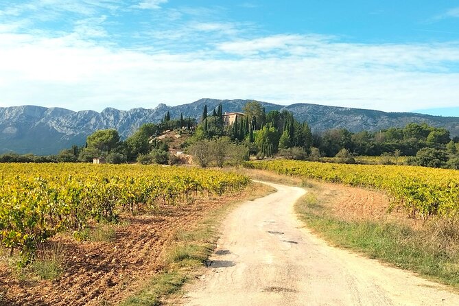 Well-being Day in Authentic Provence: Nature, Yoga, Picnic & Wine - Frequently Asked Questions
