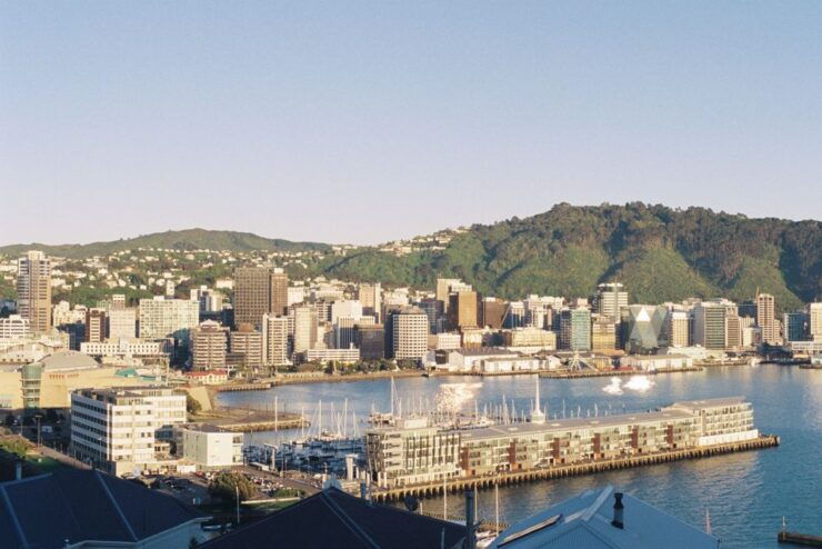 Wellington: 9-Minute Scenic Flight Ride - Experience Highlights