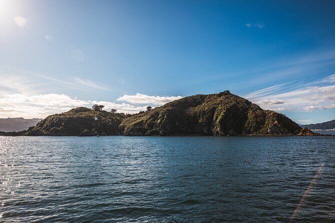 Wellington 90 minute Harbour Cruise - Practical Details & Tips