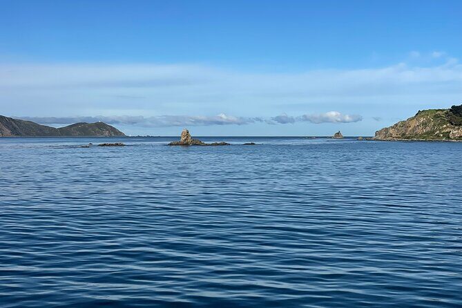Wellington 90 minute Harbour Cruise - Who Would Love This Experience?