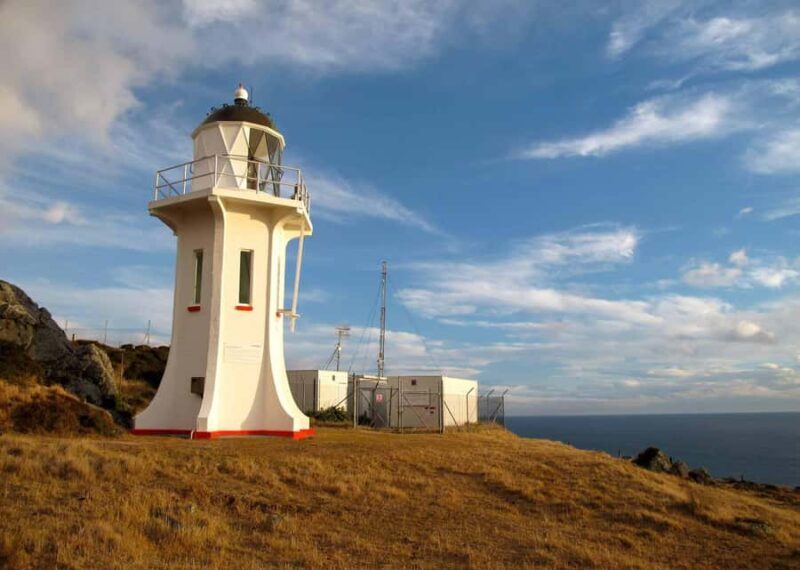 Wellington: Baring Head Lighthouse Walk - Final Thoughts