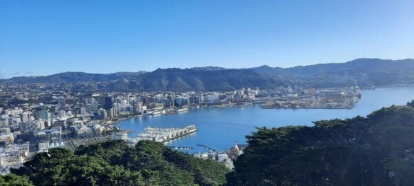 Wellington: Cave to Coast Highlights Guided Tour - Related Options