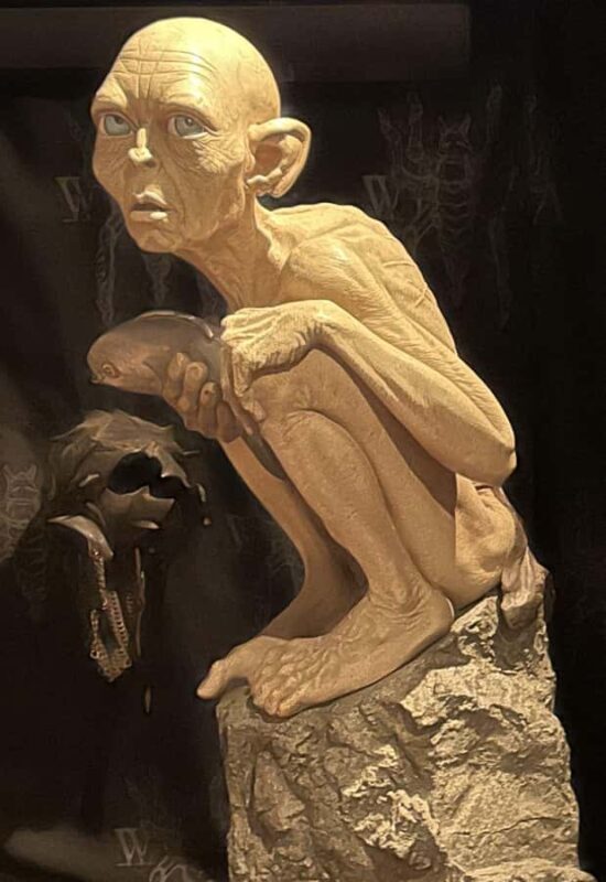 Wellington city heights private sightseeing tour - Good To Know