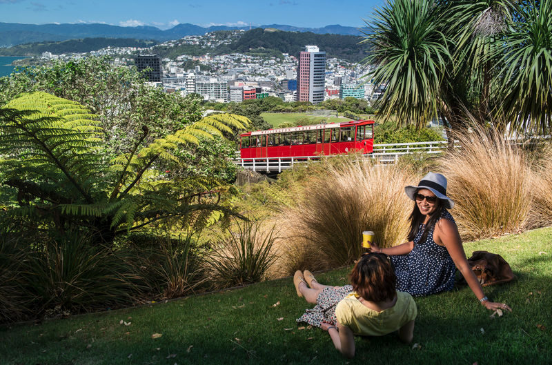 Wellington City Highlights & Coastal Half-Day Tour - A five-hour route through hills, harbour and coast