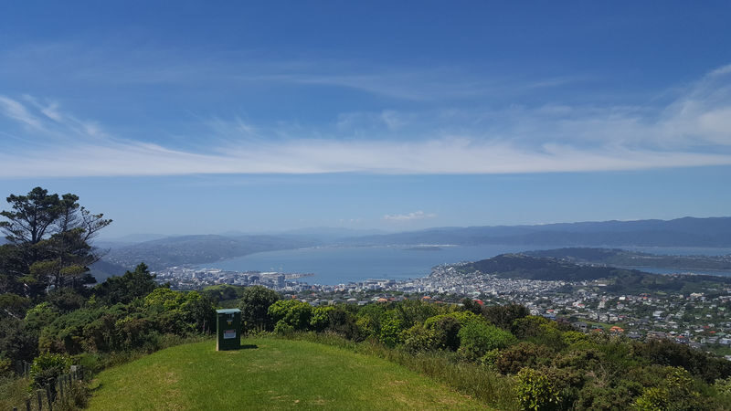 Wellington City Highlights & Coastal Half-Day Tour - The rugged south coast and photo stops