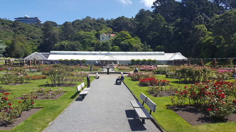 Wellington City Highlights & Coastal Half-Day Tour - Café lunch, then the Brooklyn Wind Turbine
