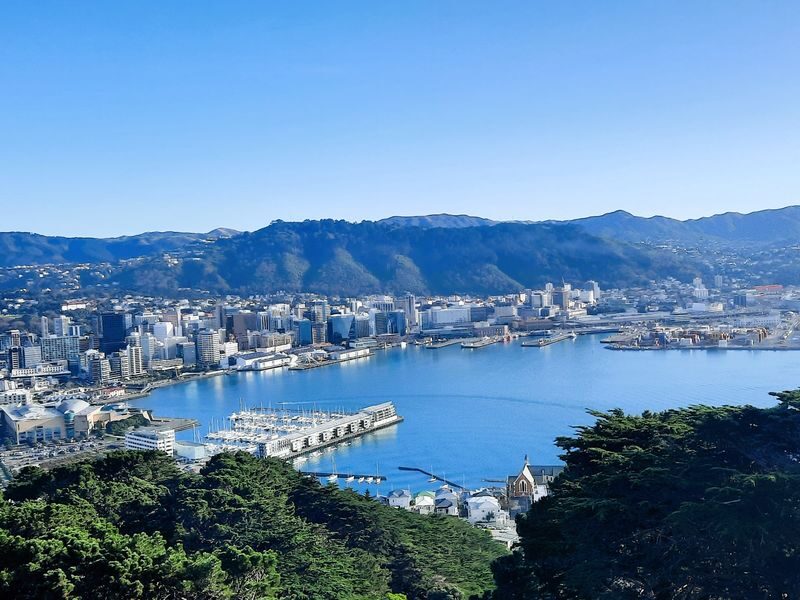 Wellington City Highlights & Coastal Half-Day Tour - Guides, group size and the feel of the day
