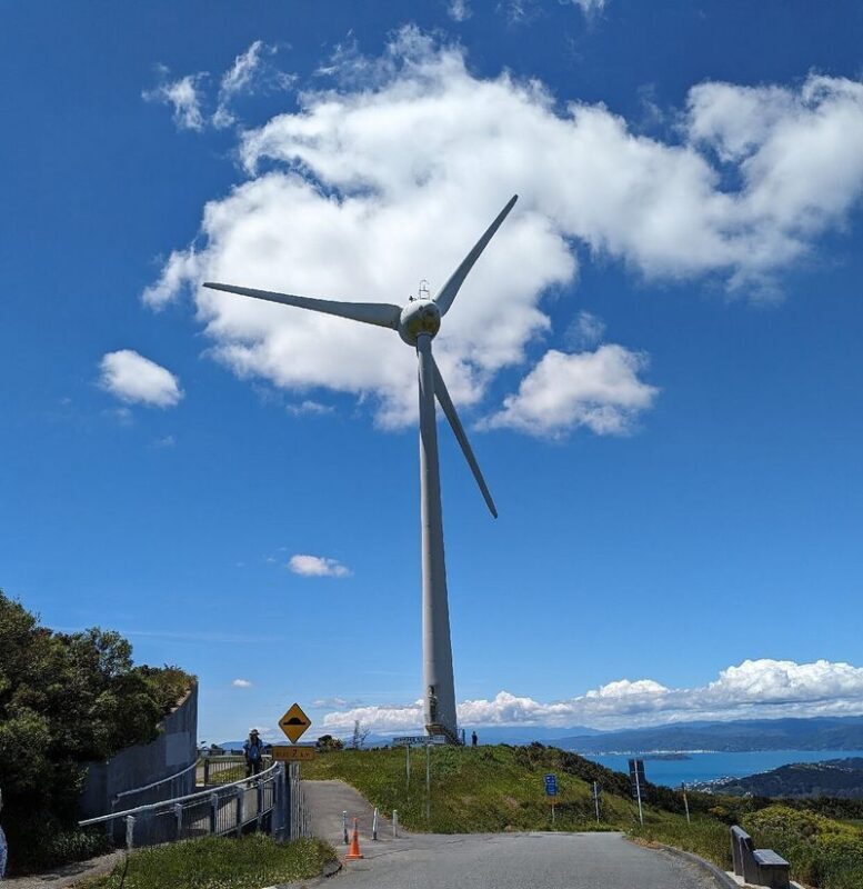 Wellington City Highlights & Coastal Half-Day Tour - What the price covers, and what it does not