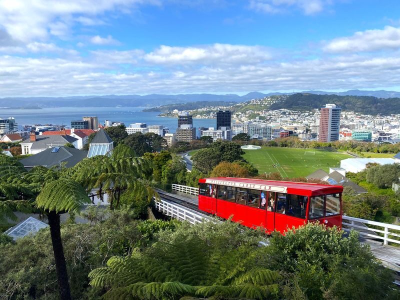 Wellington City with Mt Victoria and Cable Car Highlights Tour - A quick route from Mt. Victoria to the waterfront