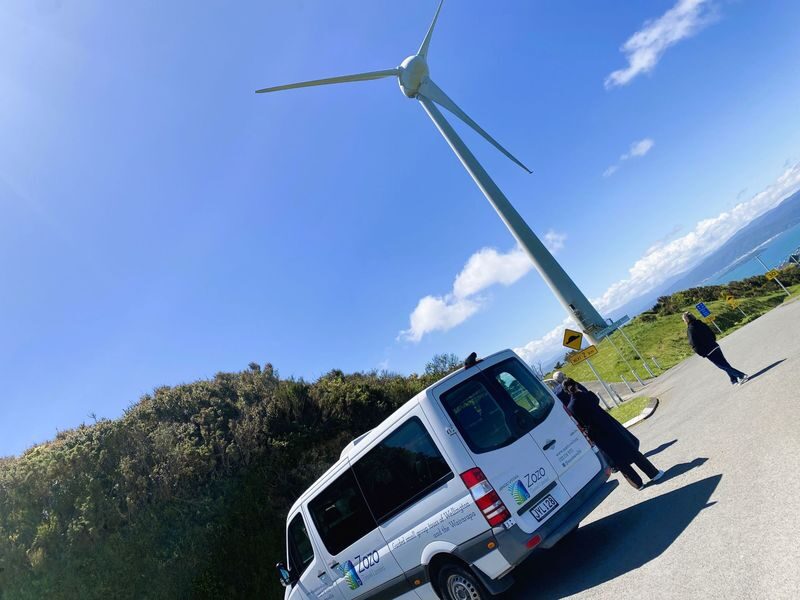 Wellington City with Mt Victoria and Cable Car Highlights Tour - What the Mandarin guide adds