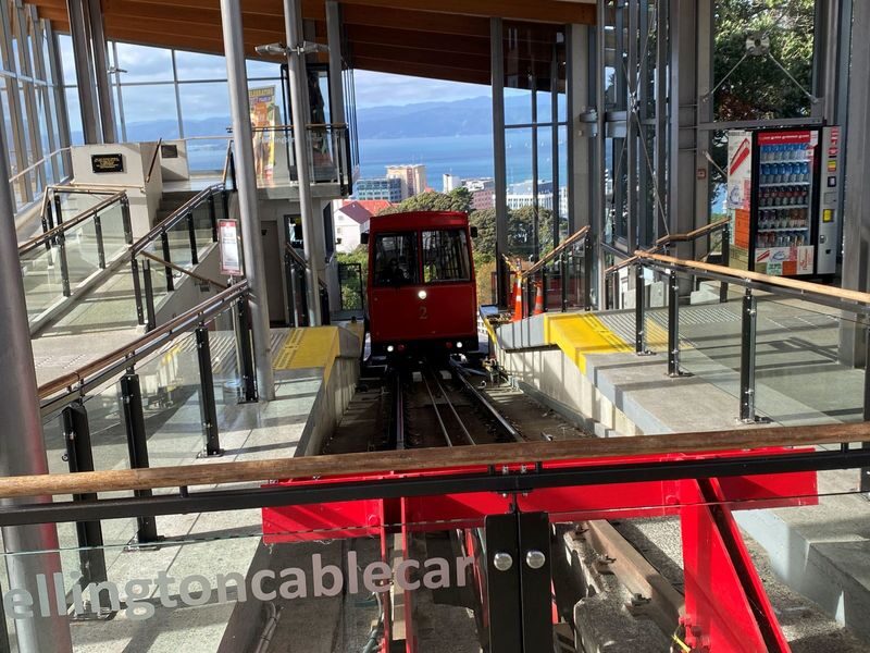 Wellington City with Mt Victoria and Cable Car Highlights Tour - Who should book this Wellington tour?