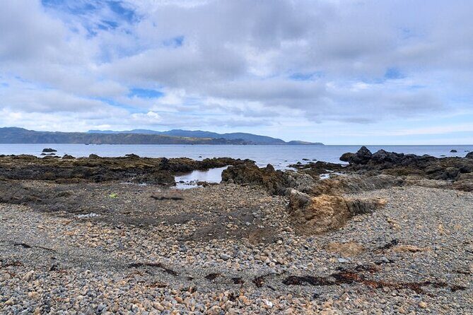 Wellington Coastal Self Drive Tour with an APP - FAQ