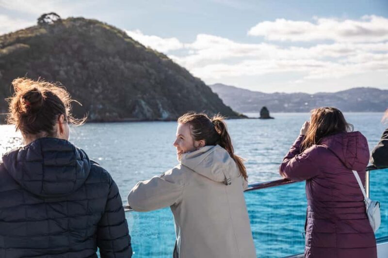 Wellington: Commentated Harbour Explorer tour - The Sum Up