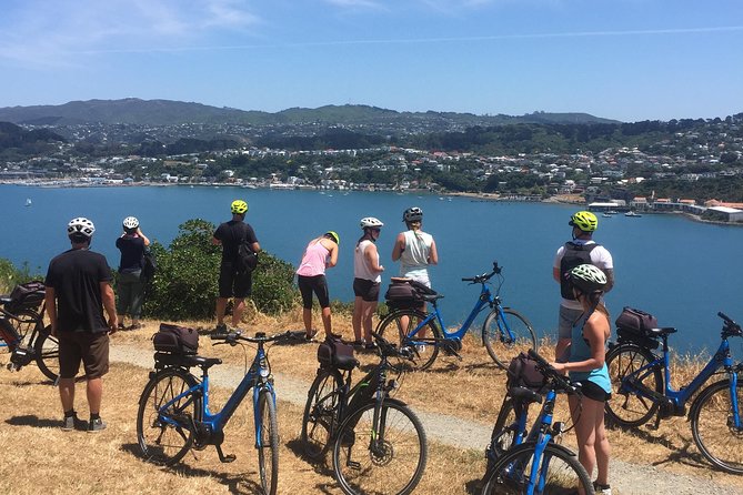 Wellington Electric Bike Tour - Customer Reviews