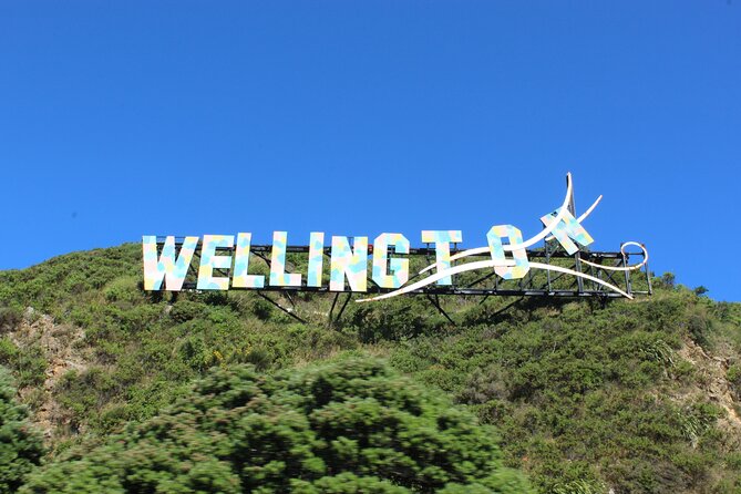 Wellington Full Day Private Tour in Electric Tesla SUV - What to Expect on the Wellington Full Day Private Tour