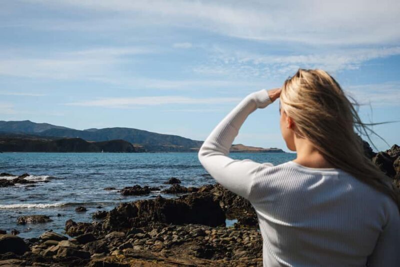 Wellington: Guided City Tour with Cable Car Ticket - Good To Know