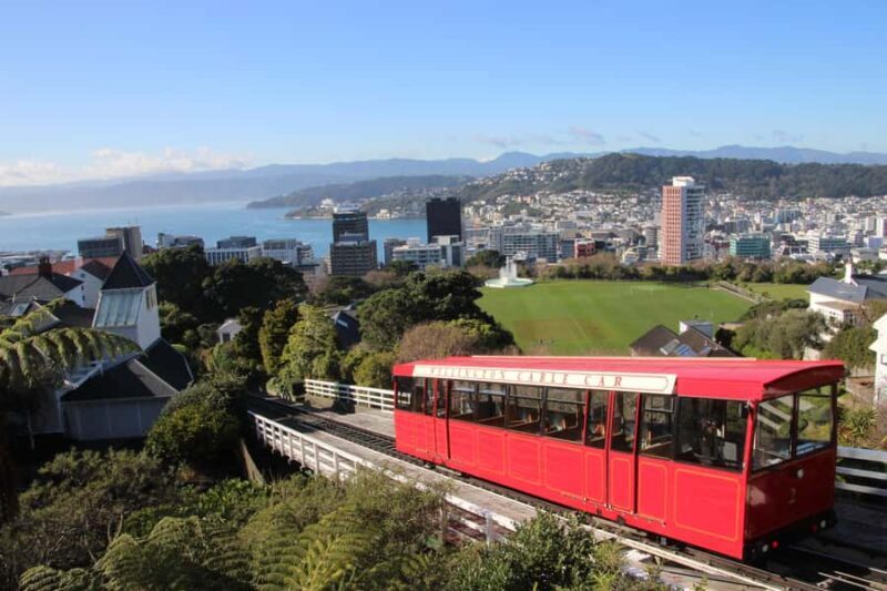 Wellington: Guided City Tour with Cable Car Ticket - The Sum Up