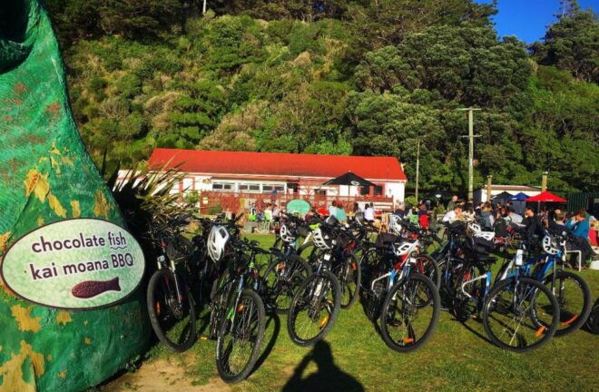 Wellington: Guided Sightseeing Tour by Electric Bike - Related Activities