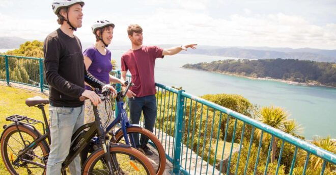 Wellington: Guided Sightseeing Tour by Electric Bike - Customer Reviews