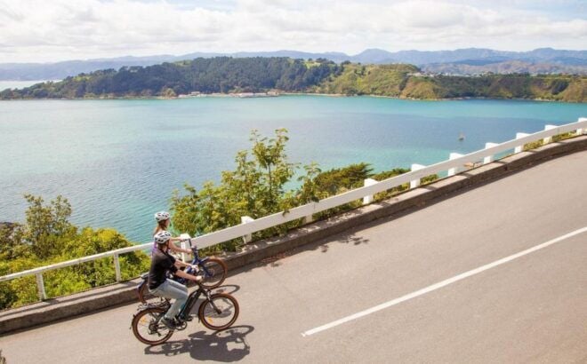 Wellington: Guided Sightseeing Tour by Electric Bike - Common Questions