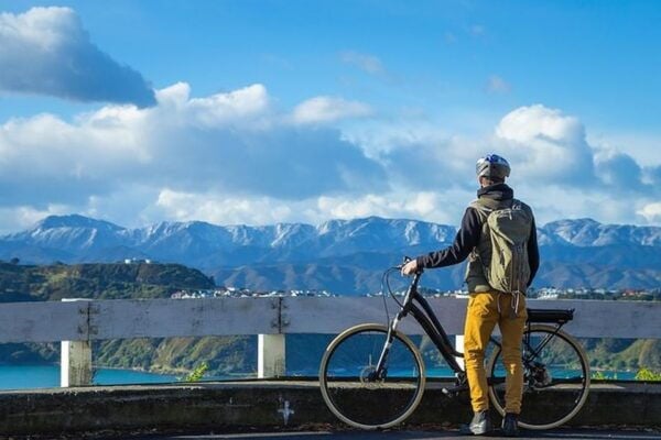 Wellington: Guided Sightseeing Tour by Electric Bike - The Sum Up