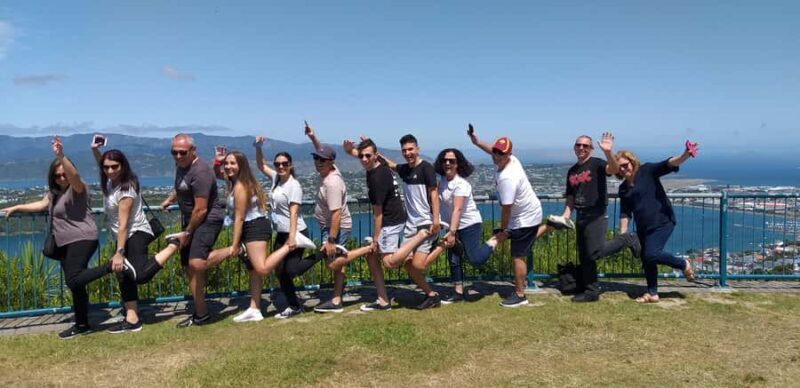 Wellington: Half-Day City Highlights Tour and Cable Car Ride - Wellington Cable Car: A Historic Ride with Panoramic Rewards