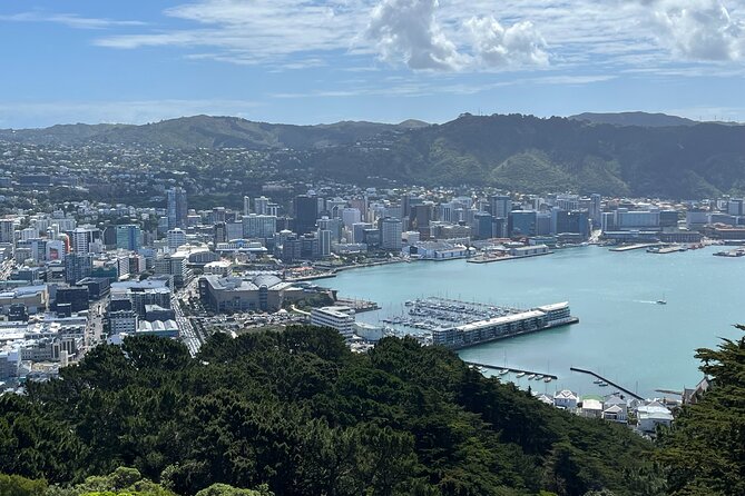 Wellington Half Day Private Tour in Electric Tesla SUV - Additional Information