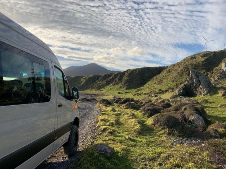 Wellington: Half Day Seal Coast Safari - Activity Details
