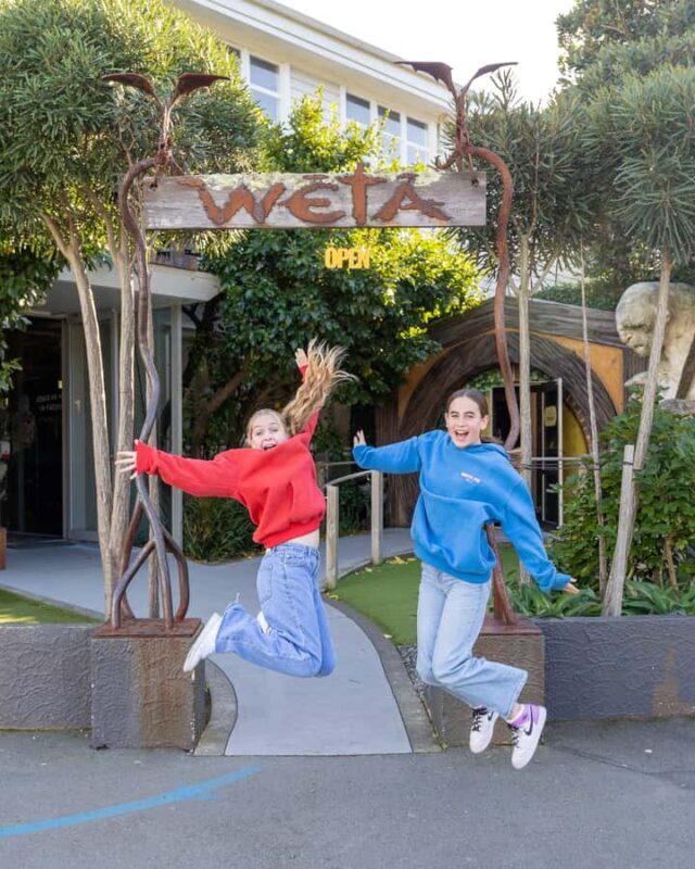 Wellington: Highlights Tour with a Local Guide - Introduction