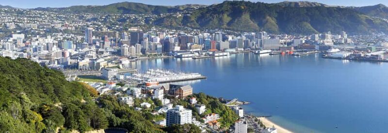 Wellington: Highlights Tour with a Local Guide - The Value of This Tour