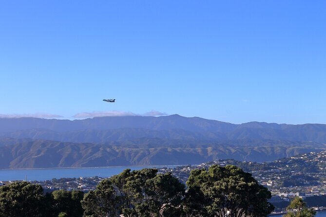 Wellington Hiking Tour: Climb & Unwind Experience - The Details of the Wellington Hiking Tour